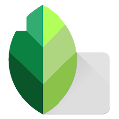 Snapseed Logo